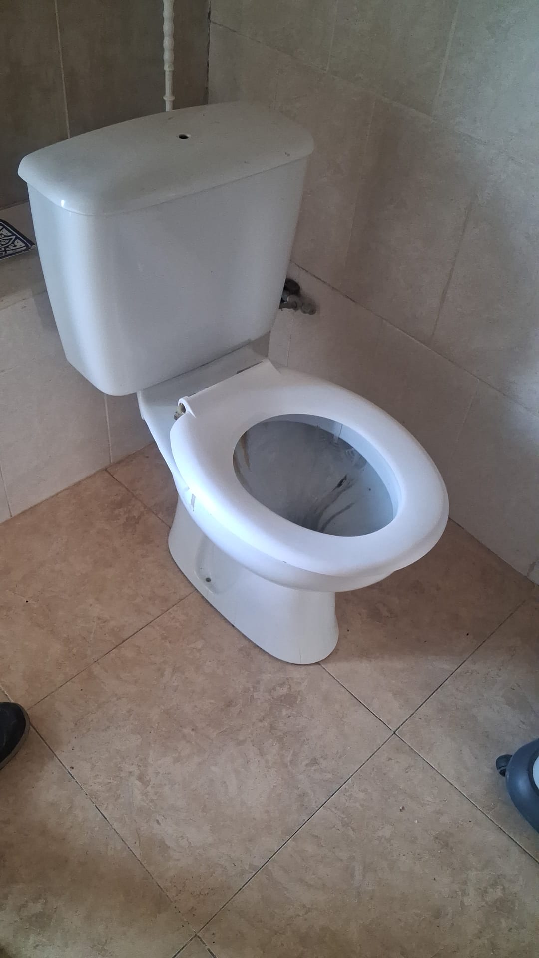Inodoro antiguo antes de su sustitución, con el asiento desgastado y sin pulsador